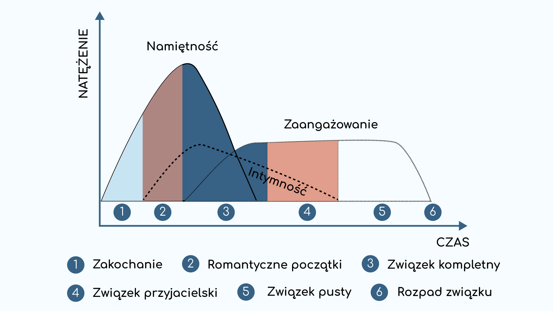 Etapy związku